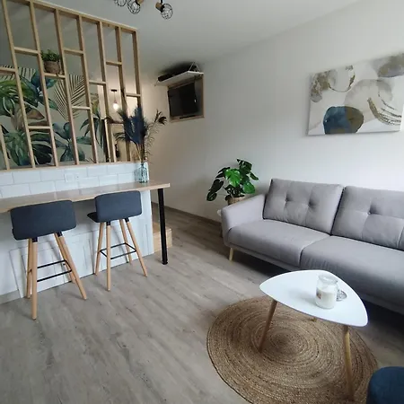 Sweet Metz&place De Parking Privée *