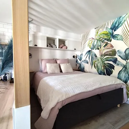 Appartement Sweet Metz&place De Parking Privée Metz