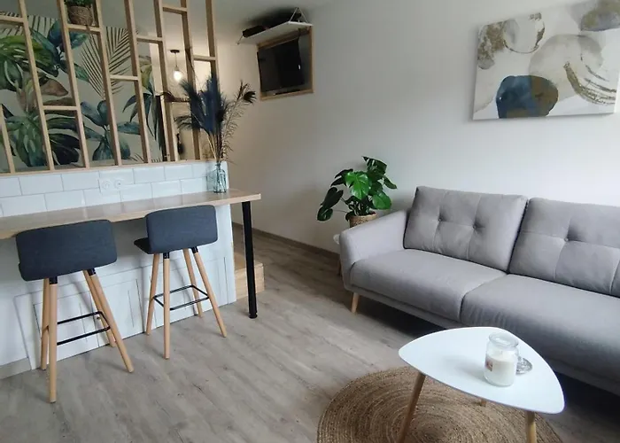 Sweet Metz&place De Parking Privée *