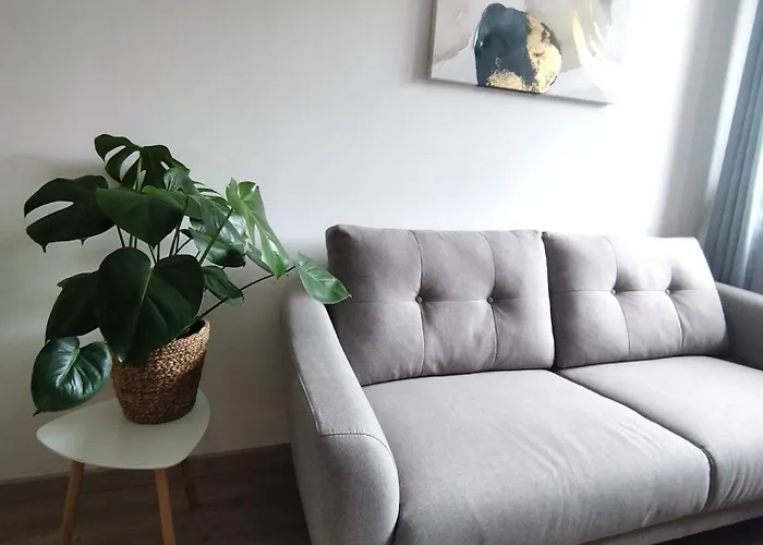 Sweet Avec Parking & Netflix Mety